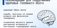 Как сохранить здоровье мозга - Городская детская поликлиника им. Валерия Коваля