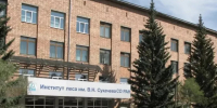 Призрак в Институте леса получил 1 млн рублей: начальник производства три года присваивал зарплату фиктивного работника - ИА Запад24