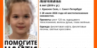 Пропавшую в Красном Селе 6-летнюю девочку нашли у соседей - Neva.Today