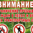 В Крыму на три недели ограничат посещение лесов - КрымИнформ