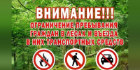 В Крыму на три недели ограничат посещение лесов - КрымИнформ