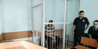 Суд арестовал новосибирца, натравившего овчарку на медработника - Сиб.фм