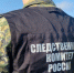 Следственным отделом по городу Заречный СУ СК России по Свердловской области организована проверка сообщения о гибели мужчины после падения на него дерева - Следственный комитет