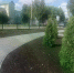 В Иссе завершены работы по благоустройству общественной территории - Пенза-Обзор