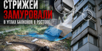Строители замуровали живых стрижей в углах балконов в Ростове - Bloknot-Rostov.Ru
