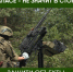Барс - Рыбинские Известия