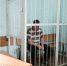 В Новосибирске заключили под стражу хозяина напавшей на фельдшера собаки - Gorsite.Ru