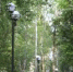 1.JPG - Городская Дума