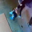 В Ярославле возбуждено уголовное дело о хулиганстве в отношении двух подростков - Городской телеканал