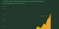 В России стартовала уборка рапса - Журнал Сельскохозяйственные Вести