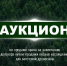 Проводится открытый аукцион - Министерство лесного, охотничьего хозяйства и природопользования