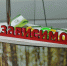 Ростовская область стала самым малопьющим регионом в Южном федеральном округе - Газета Таганрогская правда