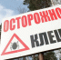 243 случая присасывания клещей зафиксировано в Бугульминском районе Татарстана - Бугульминская газета