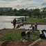 На месте будущего мостика вбили сваи. - Новгородские Ведомости