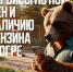 Три варианта поиска информации о топливе в Югре - ИА Мегионские новости