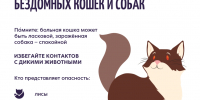 Осторожно: бешенство! *** Саратовская область, город Маркс - июль 2026 год (marksadm.ru) - Марксовский район