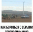 Сообщите о «серых» перевозчиках мусора, они превращают контейнерные площадки в несанкционированные свалки! - Администрация г. Кызыл