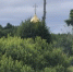 Приход храма святой блаженной Ксении Петербургской в посёлке Тёсово-Нетыльский организует паломническую поездку в деревню Гузи - Новгородская епархия