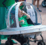 Фото: ПАИ - InformPskov.Ru