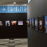 Работы белгородского фотографа Антона Вергуна покажут в Красноярске - Fonar.Tv