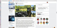 Конная экомилиция приступила к патрулированию лесов Ленобласти - Газета Лужская правда