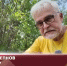 Видео - ТВН