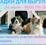 АНОНС. Открытие площадки для выгула собак. - Администрация МО Курчатов