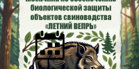 Месячник по обеспечению биологической защиты объектов свиноводства «ЛЕТНИЙ ВЕПРЬ». - Администрация Красногорского района