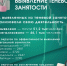 ​9 из 10 работников Подмосковья легализовали занятость с начала года - Газета Истра сегодня