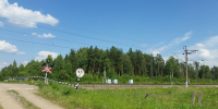 В Ярославской области пассажирский поезд насмерть сбил лося - YarCube.Ru