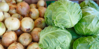 Россельхознадзор ограничит ввоз подкарантинной продукции пяти узбекских экспортеров - M24.Ru