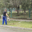 В Чите за лето скосили траву на площади более 57 футбольных полей - Забайкальский рабочий