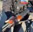 Сотрудники ОМОН Росгвардии оказали содействие полиции в проведении рейда по проверке автотранспорта - Росгвардия