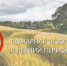 Основные правила пожарной безопасности в быту и на дачном участке - Администрация г. Ейска