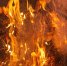 Лесные пожары во Франции побили 20-летний рекорд разрушительности - M24.Ru