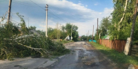Поваленное из-за непогоды дерево в Алтайском крае / Фото: МЧС по Алтайскому краю - ИА Амител