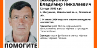 Мужчина в черных галошах пропал в деревне Мигушино Невельского округа - Pln-Pskov.Ru