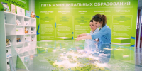 На выставках достижений районов Санкт‑Петербурга стартовала неделя благоустройства - Комитет по благоустройству