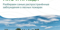 Федеральная информационная противопожарная кампания «Останови огонь!». - Даровской район