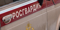 Фото: Олег Золото / МР7 - Мой район