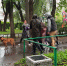 В Красносельском районе нашли исчезнувшую почти сутки назад 6-летнюю девочку - ГТРК Санкт-Петербург