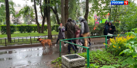 В Красносельском районе нашли исчезнувшую почти сутки назад 6-летнюю девочку - ГТРК Санкт-Петербург