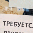 Ярмарка «Ночь.ПРО: Лето» пройдет в новгородском Кадровом центре «Работа России» по адресу: Сырковское шоссе, 2А. Начало мероприятия в 18 часов. - Новгородские Ведомости