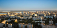 Волгоградцам разъяснили порядок действий при вырубке деревьев у окон - Волга-Медиа