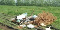 В Ясногорском районе собственника обязали убрать свалку на пашне - Молодой коммунар