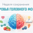 На Колыме проходит Неделя сохранения здоровья головного мозга Источник - MagadanMedia.Ru
