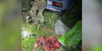 Амурчанинбраконьер обустроил тайник в Ниве что он в нем прятал - Amur.Life