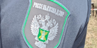 Россельхознадзор ограничит ввоз в Россию овощей и фруктов из Узбекистана - Yakutia-Daily.Ru