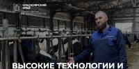 Текущая приемная кампания в России демонстрирует рекордный рост интереса к аграрному образованию - Газета Емельяновские веси