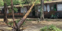В детском лагере «Салют» ведутся восстановительные работы после урагана - Rubtsovsk.Info